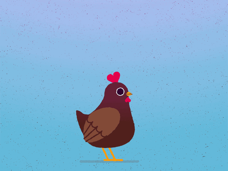 Chicken 2d after effects bird character character animation chicken eat motion design motion graphic worm