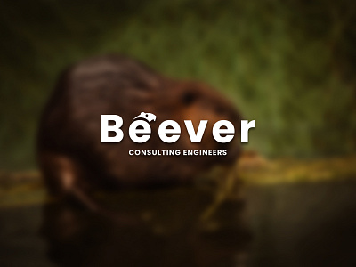 Beever logo design branding design graphics design graphics designer illustration illustrator logo nepali photoshop vector