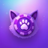 Meowin Studio