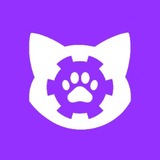Meowin Studio