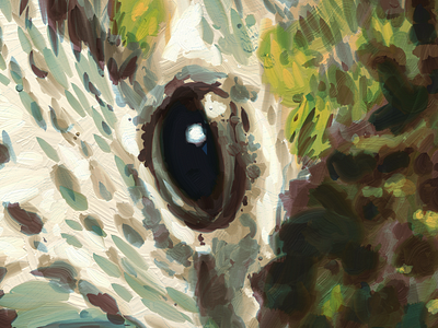 Hummingbird Eye artrage illustration painting