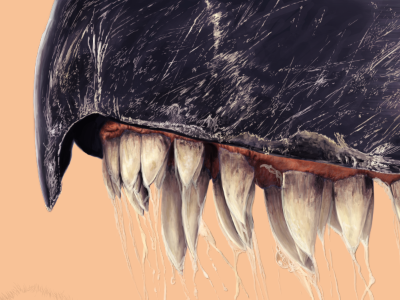 Lotsa Teeth drool illustration teeth