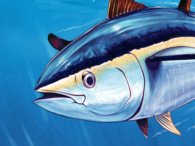 Chicken of the Sea illustration tuna wallpaper