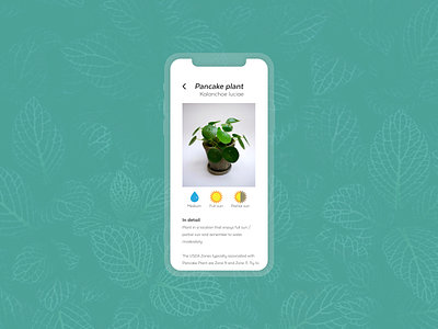 Daily Ui 012 - ecommerce item app buttons daily 100 challenge dailyui design plant plant based ui vector