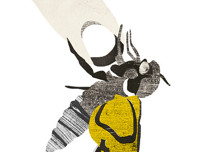 Death's head moth collage deaths head moth digital illustration moth