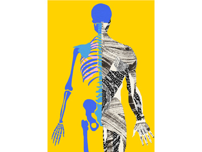 Skeleton and Muscles anatomy collage illustration