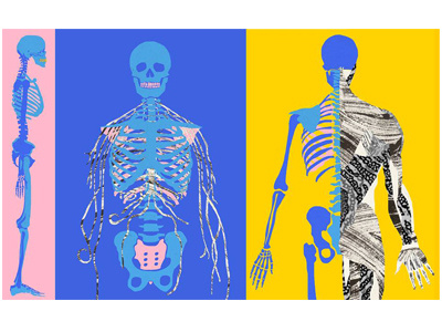 Human body collage (work-in-progress) anatomy collage illustration