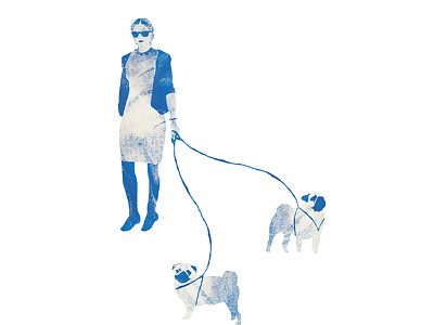 Walking the pugs illustration pugs