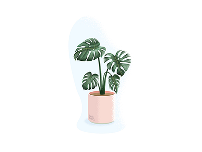 Monstera (Swiss Cheese Plant) Illustration adobe illustrator cardiff illustrator monstera plant sebmcd south wales swiss cheese plant wales