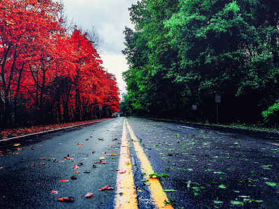 Autumn🍁 & 🍀Summer on the Road adobe autumn color color graphic graphic design graphic designer green japan photoshop road sky summer tokyo