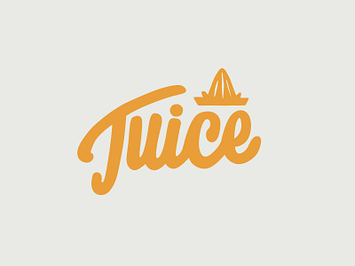 Juice branding hand drawn juicer juicy type wordmark