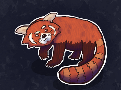 Red Panda art color design illustration