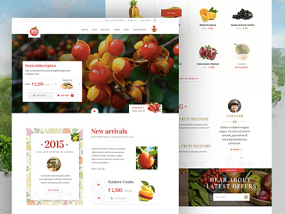 Fruttto - Website design landing page ui ux website