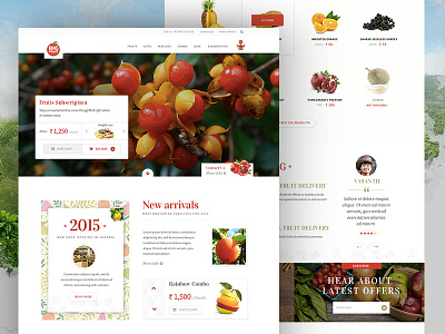 Fruttto - Website