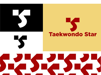 Taekwondo Star branding brzdesign design logo monogram
