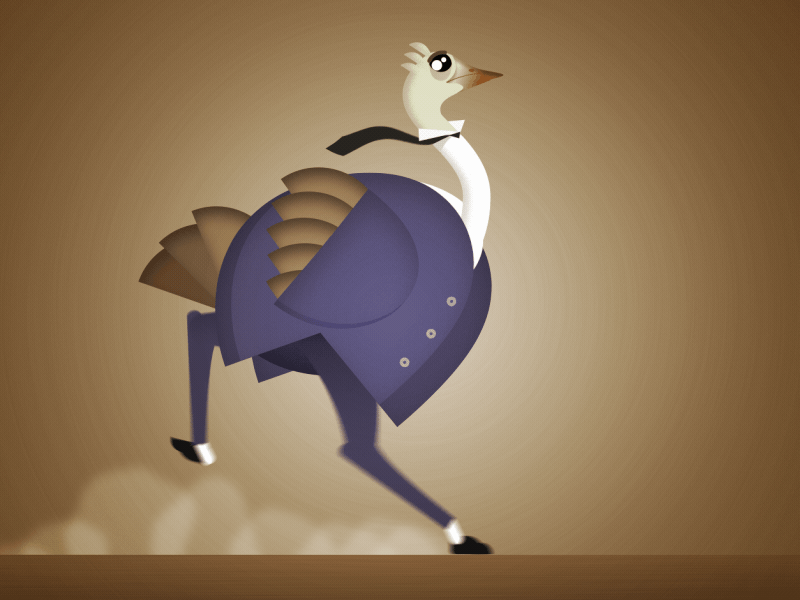 Ostrich Run! 2d aftereffects animation design flat illustration illustrator ostrich run vector
