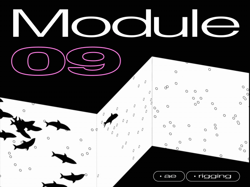 Module animation black dinamic dolphin illustration modern motion typogaphy water