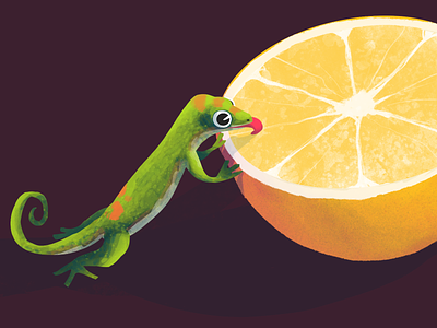 Gecko <3 Citrus animal cartoon character characterdesign citrus eat gecko illustration lizard orange