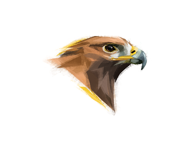 Golden eagle bird bird illustration bird of prey brush eagle illustration mexico nature photoshop