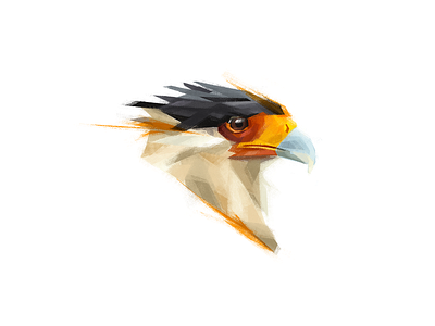 Crested caracara