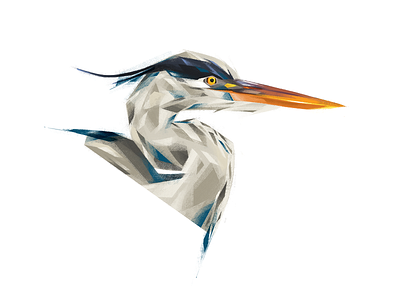 Great blue heron