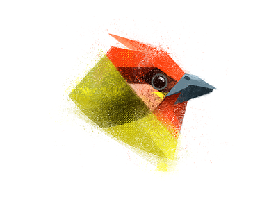 Red headed tanager animal art bird bird illustration birds brush cardinal illustration nature noise texture photoshop tanager texture wacom