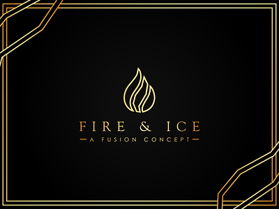 Fire and Ice Logo Design branding design graphic graphic design graphicdesign illustration logo design logodesign