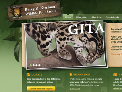 Rawr. (Wildlife Foundation website mockup) green textured web design