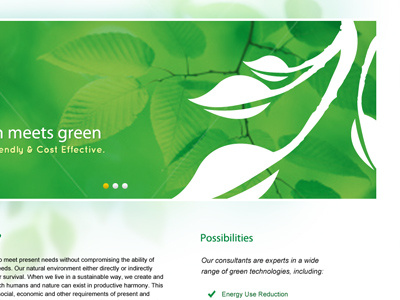 Eco & Eco, LLC: Website Mockup