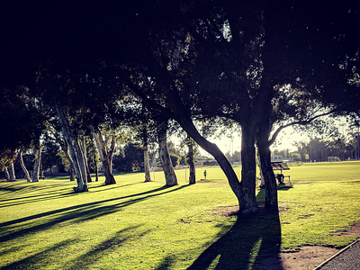 Stanford Grounds