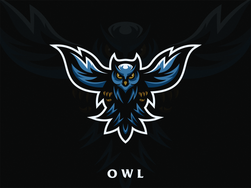 Owl by Ferrylie_Studio on Dribbble