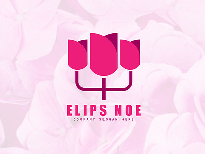 Elips Noe