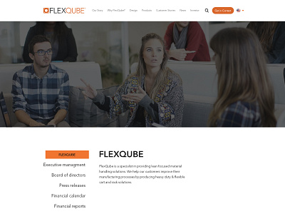 FlexQube branding esolz esolzwebdesign graphics illustration professional ux