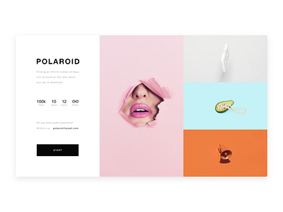 Polaroid - The processing and publication of pictures service