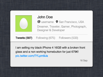 Twitter Profile Widget