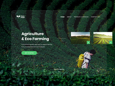 Agriculture & Eco Farming - Website agricultural agriculture company eco ecofriendly farmers website farmfresh farming food fresh nature naturewebsite organic organic farm organic web organic website