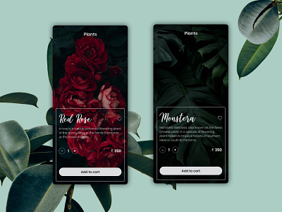 Garden Store app color designs garden minimal mobile ui ui