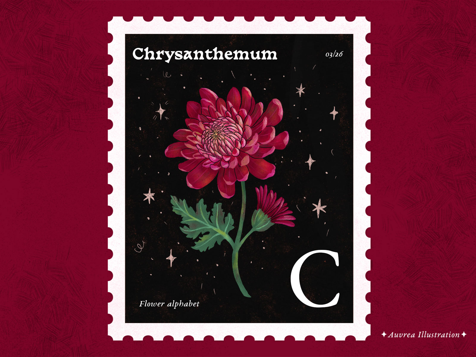 Flower Alphabet 03/26 abc alphabet art botanical chrysanthemum draw flower flowerart illustration illustrator letter c nature post mark