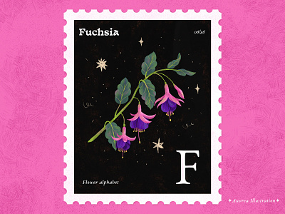 Flower alphabet 06/26 - Fuchsia abc alphabet art artist book illustration draw flower flowerart flowerillustration fuschia illustration letter f postmark