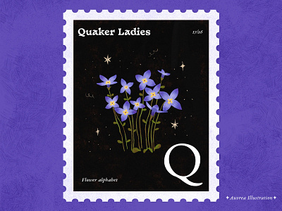 Flower alphabet 17/26 - Quaker Ladies