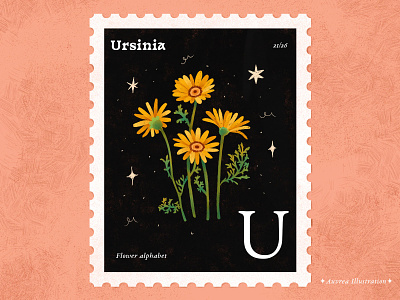 Flower alphabet 21/26 - Ursinia