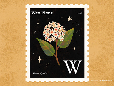 Flower alphabet 23/26 - Wax Plant