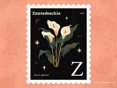 Flower alphabet 26/26 - Zantedeschia
