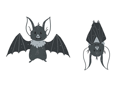 Little Bat animal animal character art bat character concept character design design draw editorial editorial illustration flying illustration illustrator shotsilove vampire