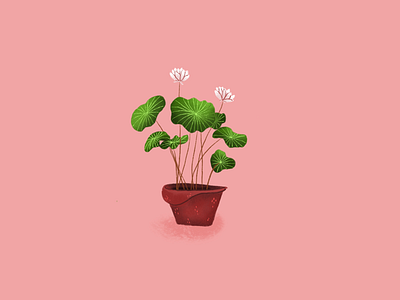 Plant friend