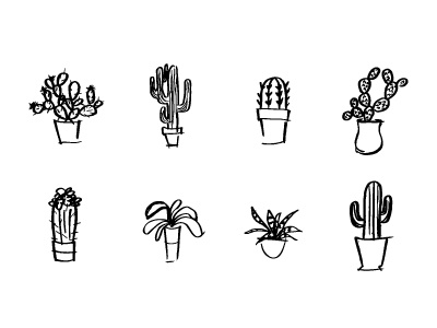 Cactus Life cactus minimal sketch