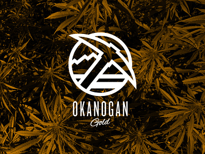 Okanogan Gold branding cannabis design illustration logo marijuana pnw