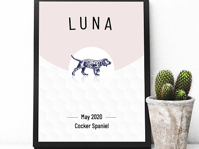 Luna coreldraw creative creative design design graphic design graphics illustration illustrator motion graphics photoshop vivekgraphicdesign