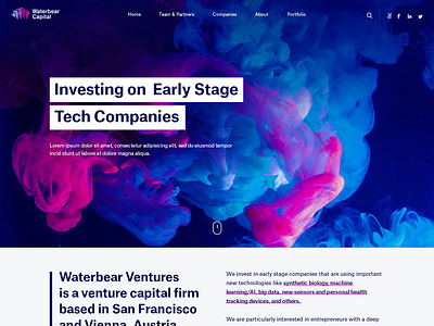 Waterbear Capital creative ideal web design illustrator ui vivekwebsitedesign waterbear capital website design