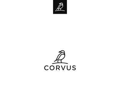 Corvus abstract art branding corvus creative design illustration logo vector viveklogodesign